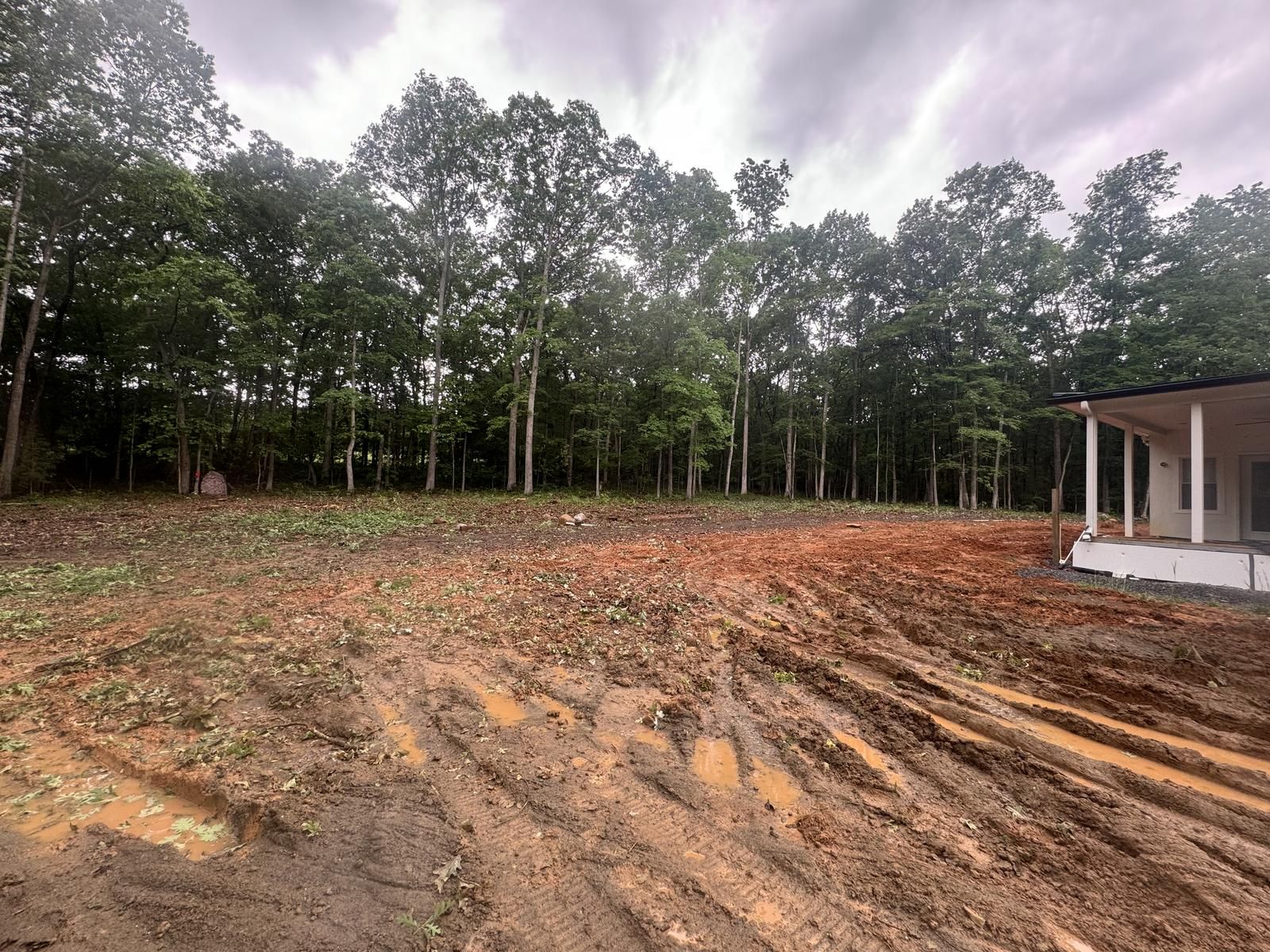 cleared forest land for new construction and development