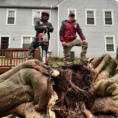 best stump grinding in mclean va hero