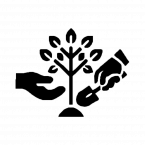 planting trees icon