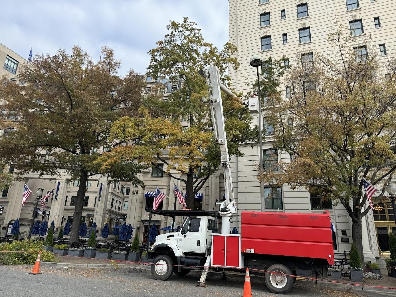 tree pruning truck in front of building with flags