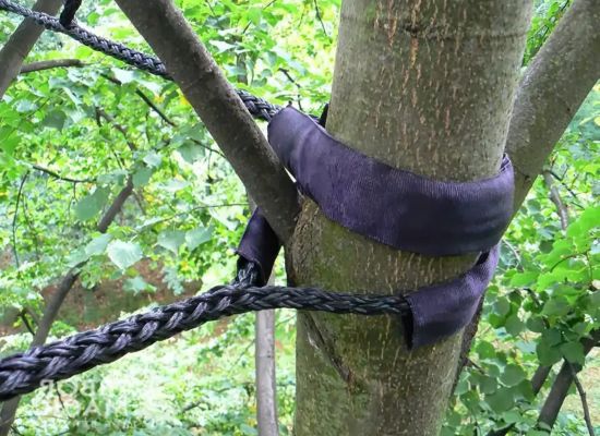 caring for young trees with plant care and support techniques