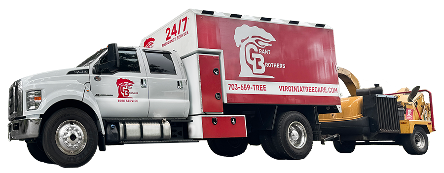 grant brothers truck transparency